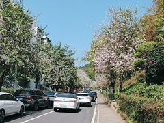 -小南山公园