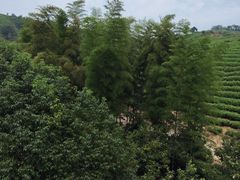 -天目湖御水温泉·度假酒店