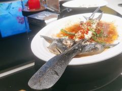 -睿智餐饮(枫尚店)