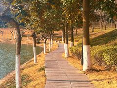 -南京珍珠泉风景区
