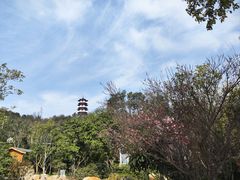 -山湖温泉