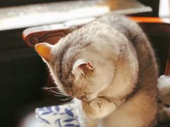 -不舍昼夜咖啡馆