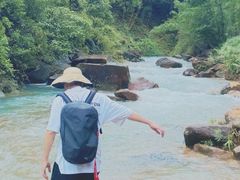 -广州白江湖森林公园