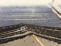 -北岐滩涂