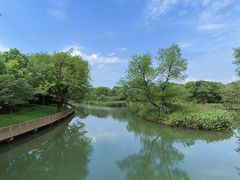 -西溪国家湿地公园