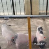 一大一小深陷动物园一整天只需128元!