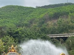 -西双版纳原始森林公园