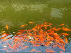 -浙江省博物馆(孤山馆区)