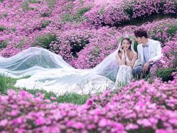 -青禾婚纱摄影(杭州店)