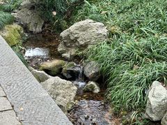 -杭州植物园