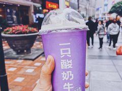 -一只酸奶牛(八一路店)