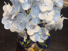 -二十集无界餐厅(观沙岭店)