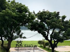 -东莞松山湖凯悦酒店