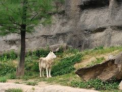 -杭州野生动物世界