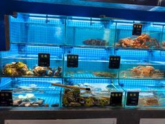 -鸽子侯·家宴·平价海鲜(市图书馆店)