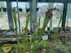 -国家植物园南园