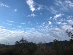 -九龙江国家森林公园