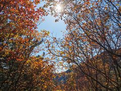-湖洞水自然风景区