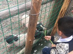 -丹樱生态园
