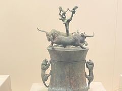 -云南省博物馆