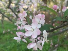 -共青国家森林公园-售票处