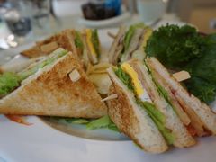 俱乐部三明治-Fern Forest Cafe