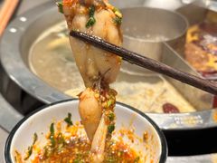 -怂火锅厂(海口国贸店)