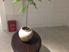 -醉西楼·国风茶社