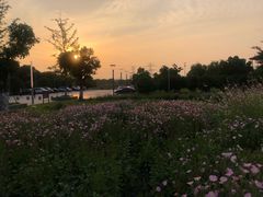 -九里河湿地公园
