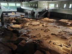 -自贡恐龙博物馆