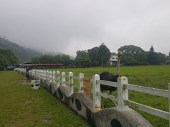 -瑞穗牧场
