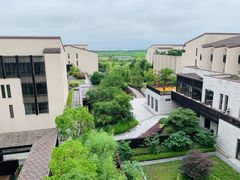 -上海崇明金茂凯悦酒店