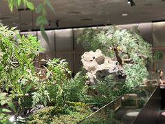 -绿茶餐厅(乐峰广场店)