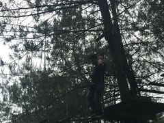 -梦幻奥陶纪景区