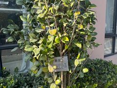 -上海爱以德护理院·康复(宝山院)