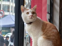 -林一家川菜馆(春熙路店)