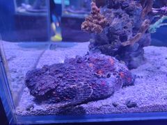 -太平洋海底世界