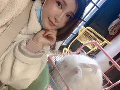 -猫色咖啡·猫咖