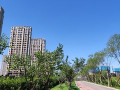 -王厚元饺子·辽菜(浑南店)