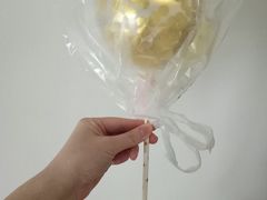 -维尔纳斯·生日蛋糕动物奶油冰淇淋蛋糕(人大店)