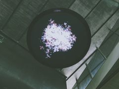 -知美术馆