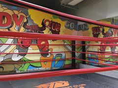 -大焱搏击·泰拳·拳击俱乐部(大柏树店)