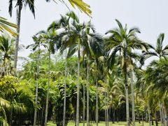 -中国科学院西双版纳热带植物园