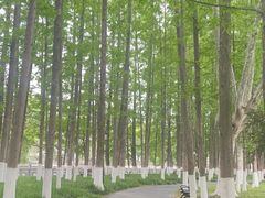 -范蠡湖公园