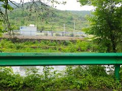 -东平国家森林公园