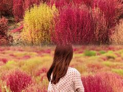 -汉长安城未央宫国家考古遗址公园