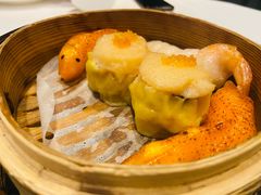 -翠园(北京王府中环店)