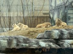 -南京金牛湖风景区