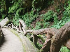 -五女峰国家森林公园