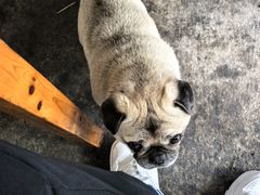 -两棵树馄饨店(渔梁住保小区店)